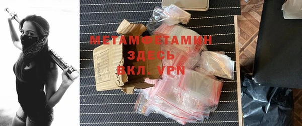 прущие грибы Козельск